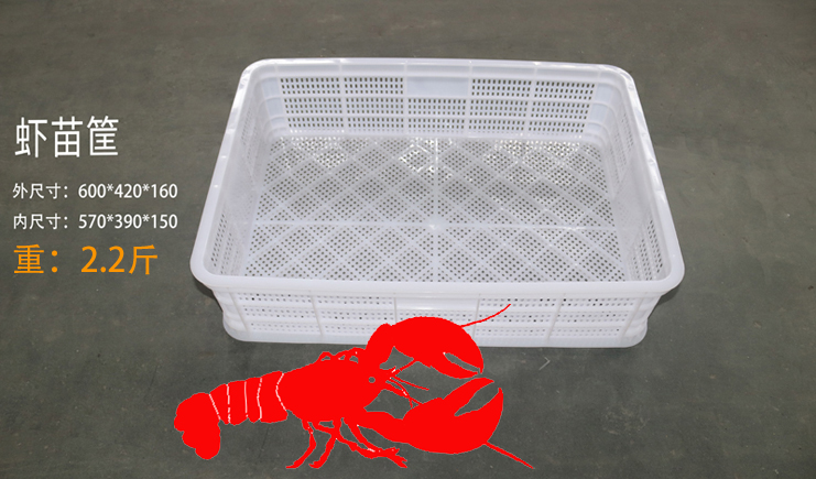 益樂上新啦！蝦苗存活率低？蝦苗筐聽完想打人