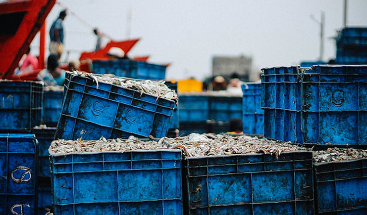 藍色塑料周轉箱哪里買？買個好周轉箱也太難了
