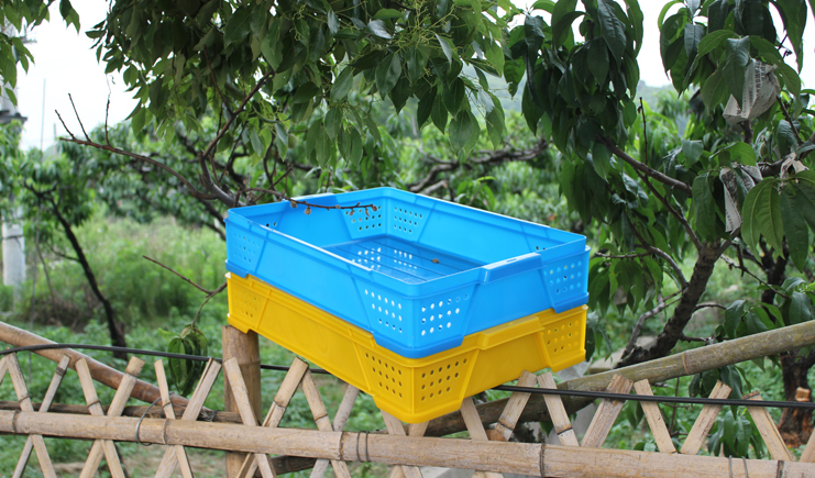 塑料周轉箱的顏色,實話實說,到底有多重要?