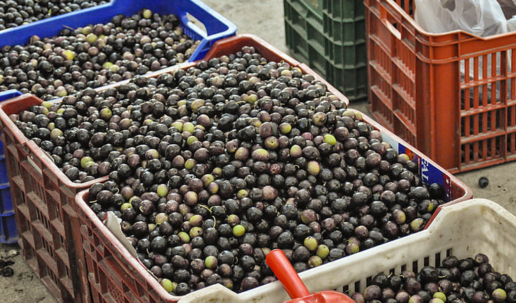 蔬菜水果塑料周轉(zhuǎn)筐，帶你玩轉(zhuǎn)不一樣的周轉(zhuǎn)筐